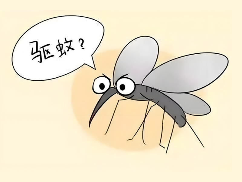 驅蚊的方法100%有效有哪些