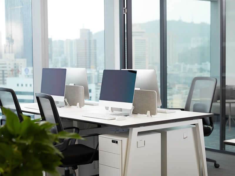 凈化空氣的綠植