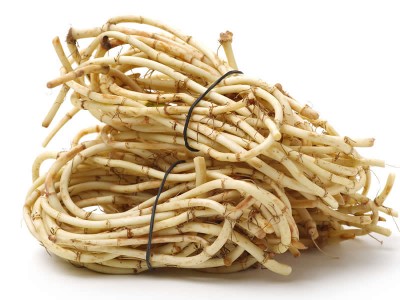 魚腥草的妙用及副作用