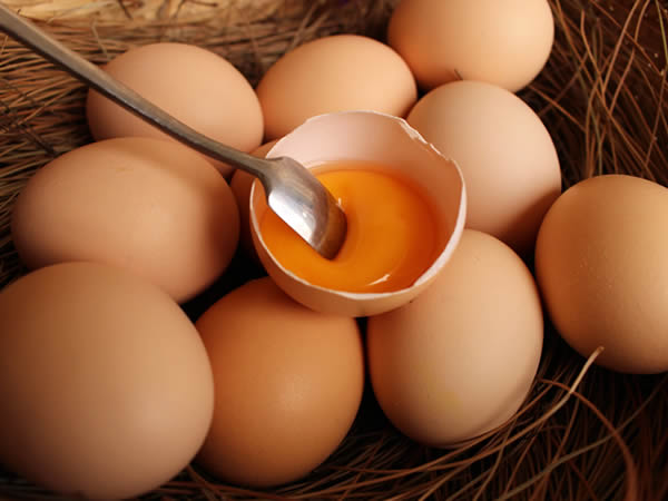 雞蛋的營養價值及功效有哪些