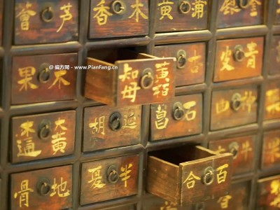 保養五臟六腑的經典藥膳方