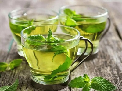 薄荷茶治感冒秘方