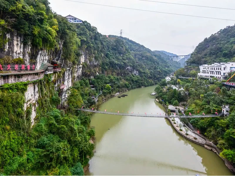 當(dāng)歸煮蛋活血祛斑 月經(jīng)前后吃最好