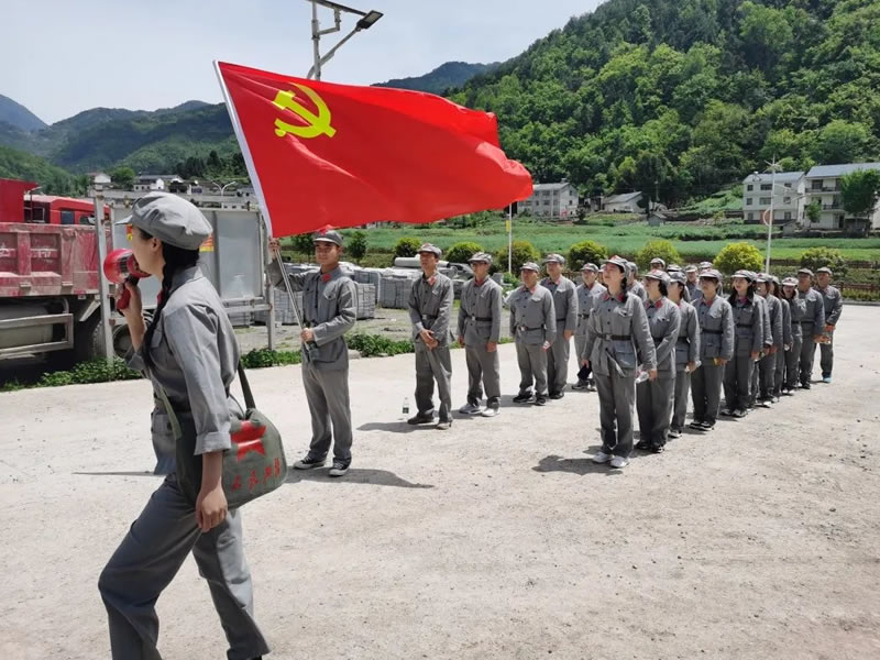 桂圓紅棗茶的功效與做法