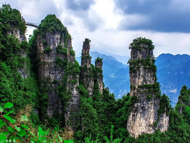 紅棗十大養生吃法 讓營養翻倍